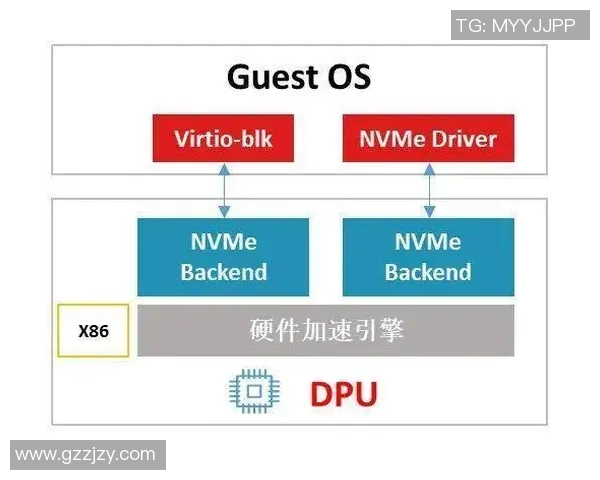 杭州乒乓球队包夹战术解析与未来发展趋势探讨