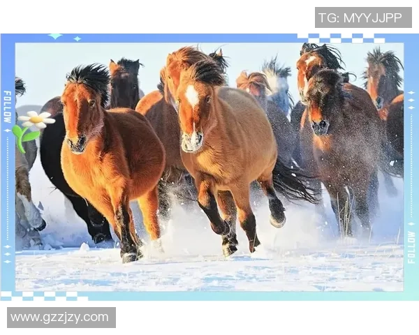 深圳飞盘队速度对比深度解析与战术优势探讨 深圳飞盘队速度对比深度解析与战术优势探讨
